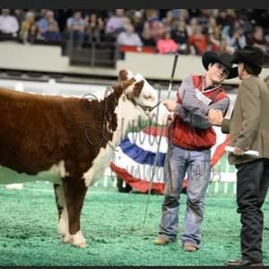 Meet your Posher, Patt